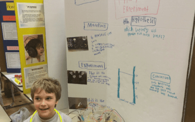 Blog comments, whales & science fairs